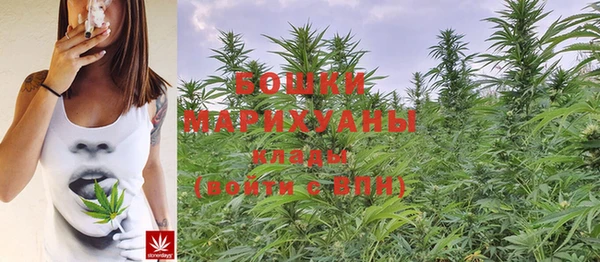 МДПВ Коряжма