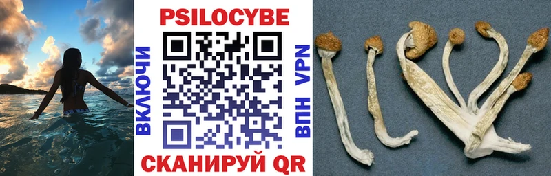 Галлюциногенные грибы мухоморы  Купить закладки  Сертолово 
